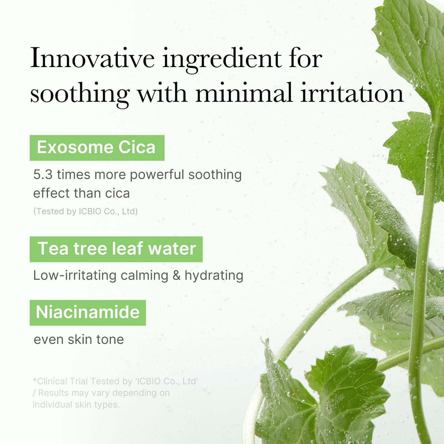 Exosome Cica Calming Toner Pads with Gentle Daily Toning Care