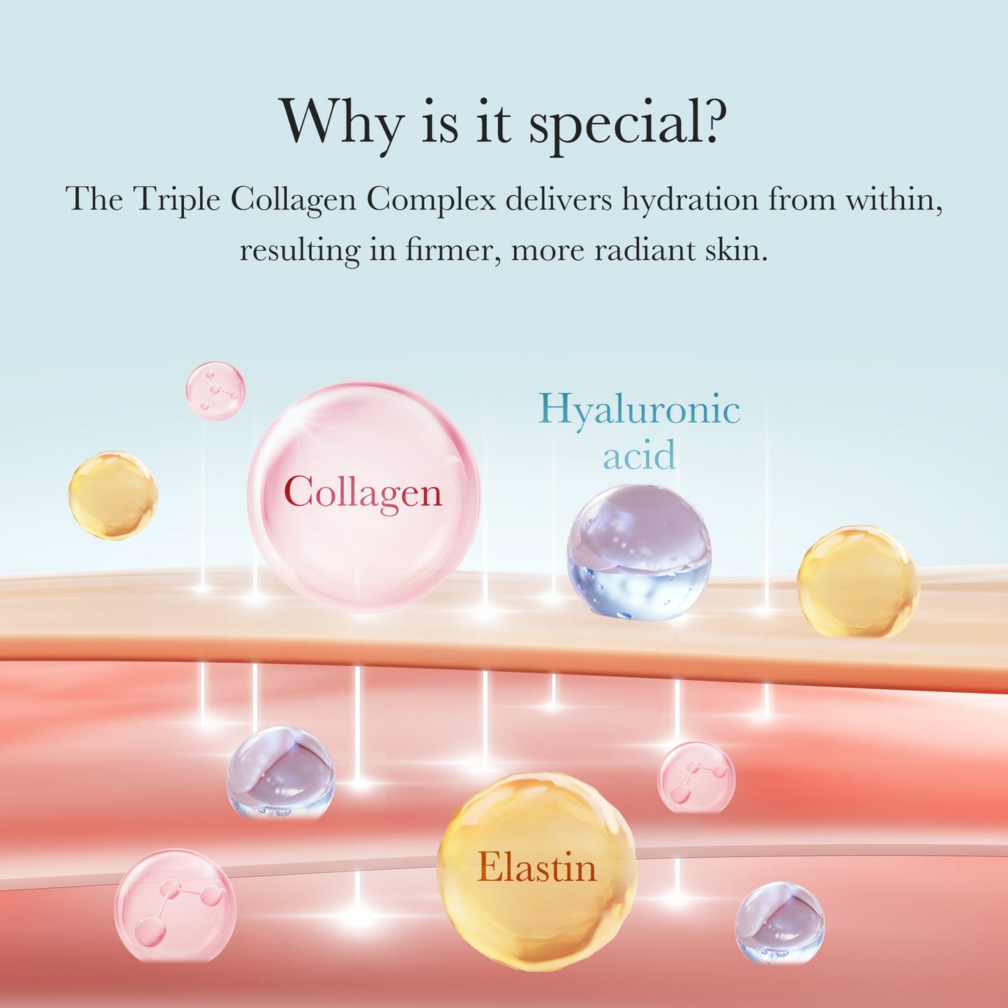 Triple Collagen Cream with Daily Moisture and Comfort Care