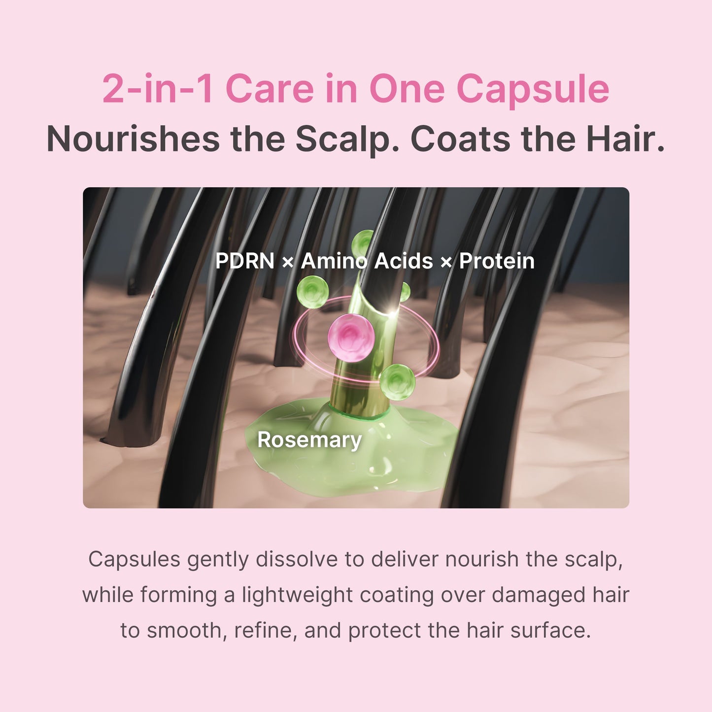 Rosemary PDRN Hair and Scalp Conditioner for Gentle Everyday Skin Care